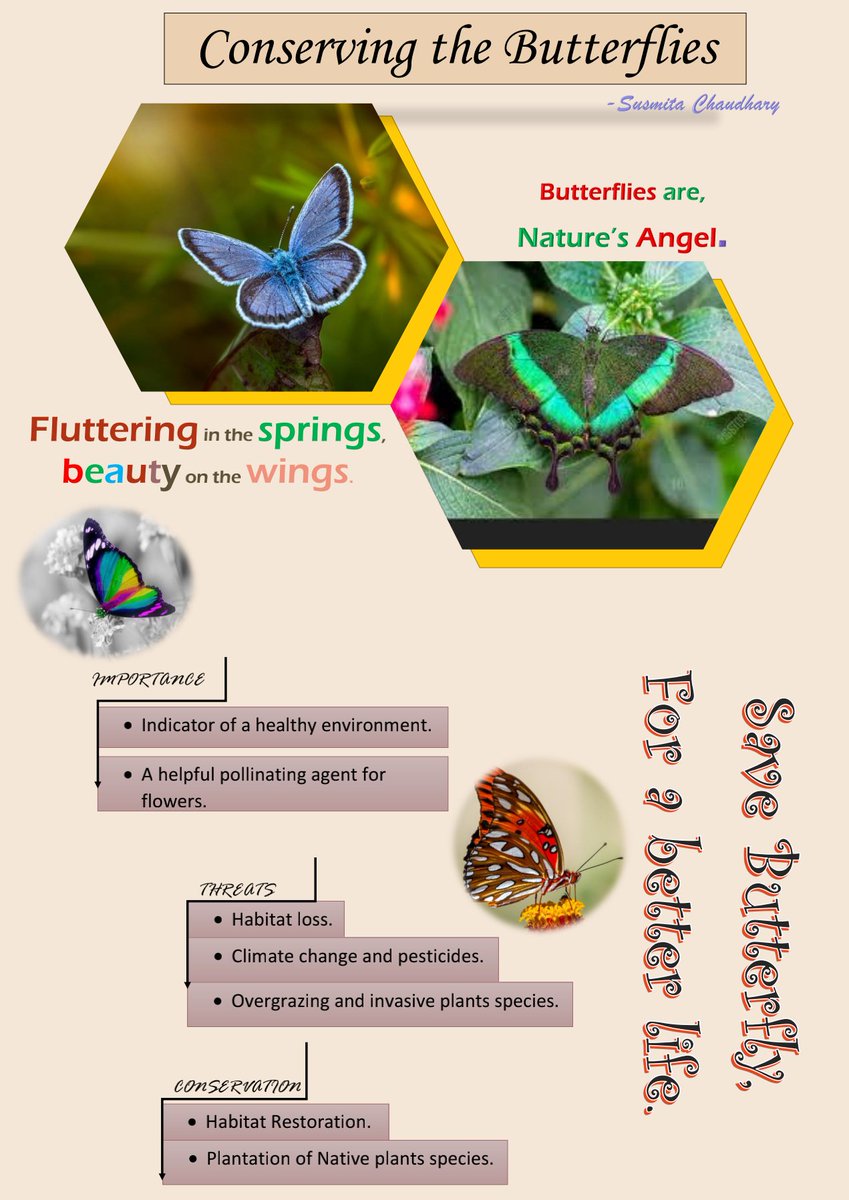 NCSCNepal's tweet photo. Join us in celebrating these amazing artworks and supporting butterfly conservation efforts! Together, we can make a difference! 🦋💪
Design: Sushmita Chaudhary
#PollinatorsWeek2023 https://t.co/4q4P20iP1H