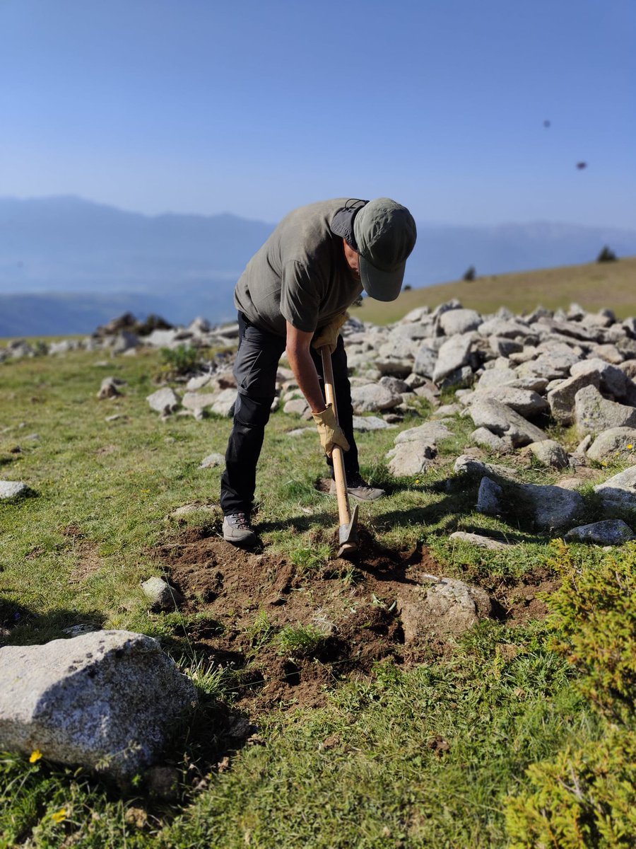 ICAC_cat's tweet photo. 🤠 Noves descobertes als #Pirineus! Hem començat la setmana obrint un nou sondeig de diagnòstic per datar l'origen cronològic del tancat ramader situat a l'est del #jaciment i esclarir la seva connexió amb el gran àmbit d'època romana 👀
#Meranges #Cerdanya #Transcapes @GIAP_ICAC https://t.co/HS4mT3rzvk