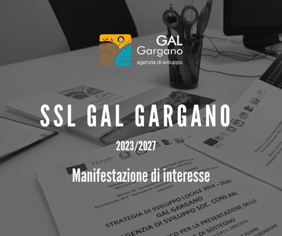 Manifestazioni di interesse per affidamento incarico supporto redazione SSL 2023-2027
galgargano.com/2023/07/12/man…