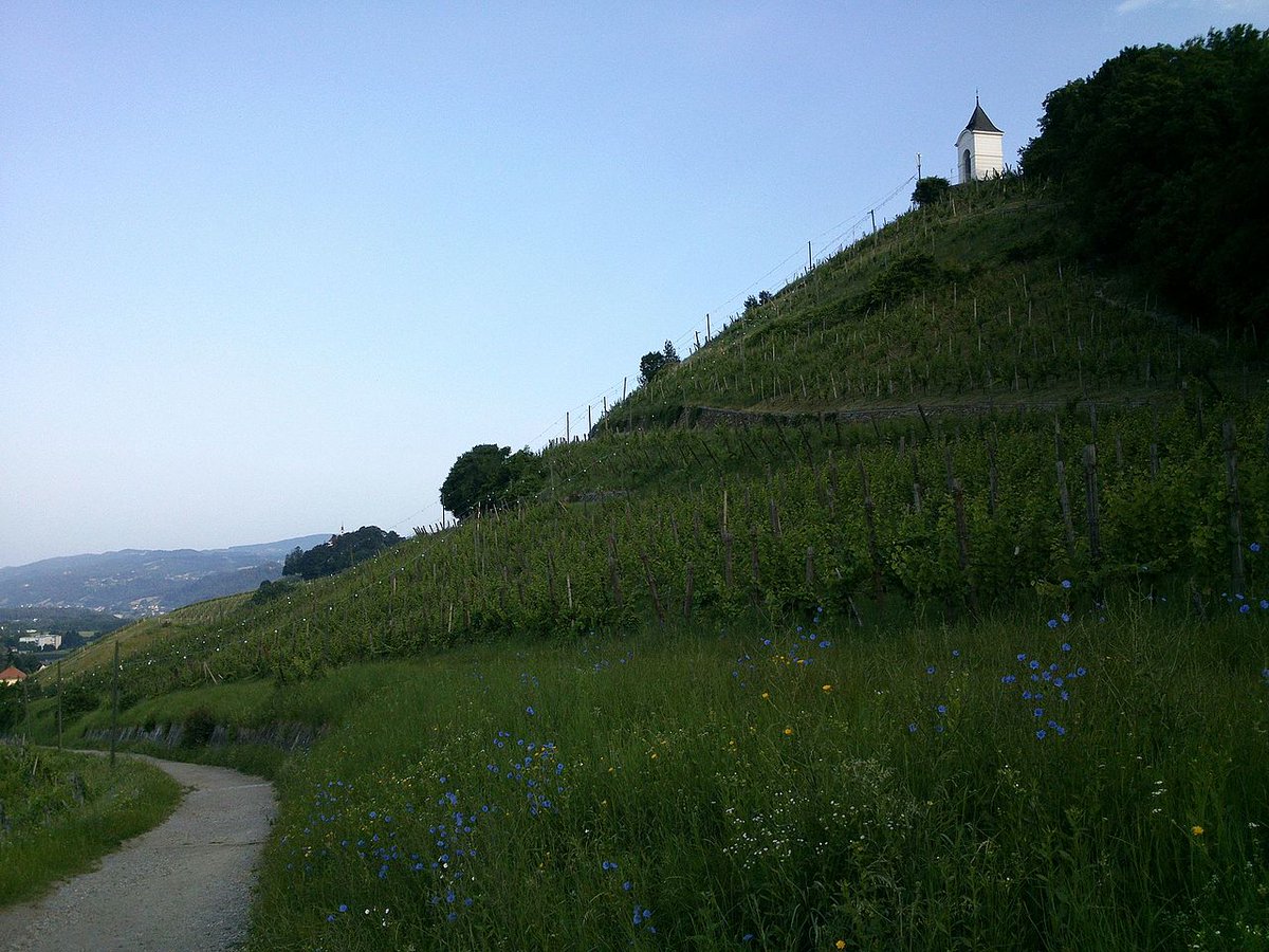 Holamon.cat tweet media