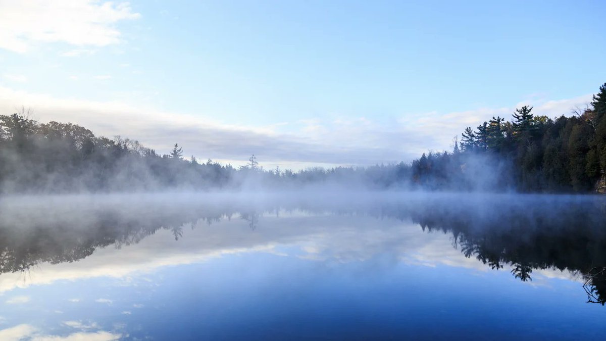 Sylke Gruhnwald tweet media