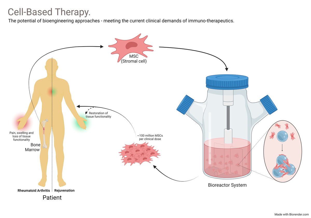 JennWillis_'s tweet photo. 3/ Current #goldstandard methods cannot feasibly meet this demand.

To overcome this, my @CDTLifETIME #PhD project aims to optimise spinner flask systems for the mass production of MSCs for autoimmune-related therapeutics.

Any questions are more than welcome!
#LifETIMETC23 https://t.co/BjcZBiX7Pn
