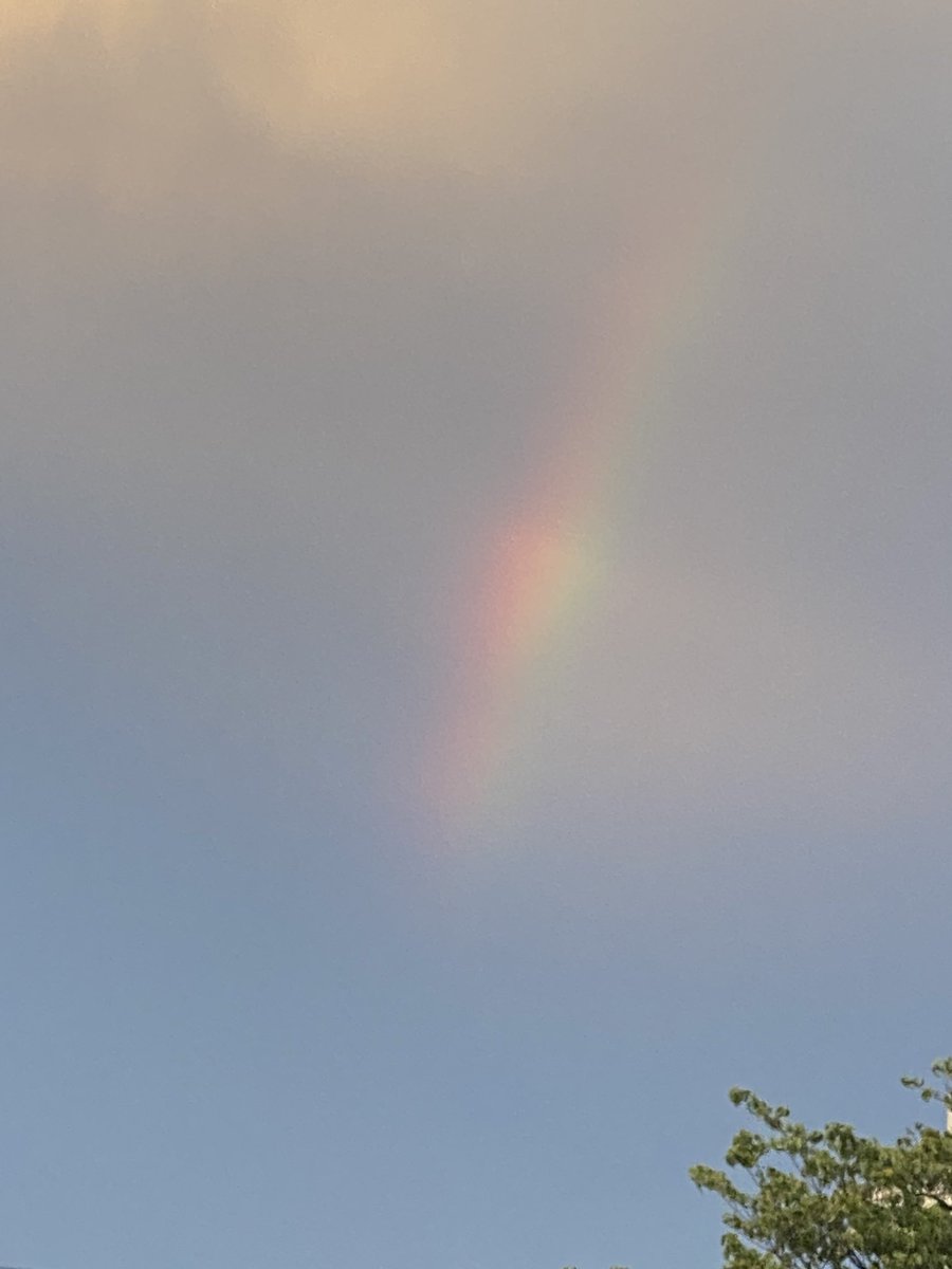 虹🌈