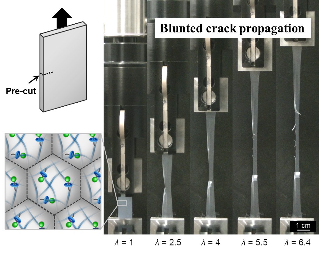 ShinshuUni's tweet photo. #Research team led by assoc. prof. Suzuki leverages a novel #polymer interlocking mechanism to produce tough yet additive-free & easily #recyclable #latex #films. 🌏
Read more➡️https://t.co/DSEKNubJkj
#nanoparticle #rotaxane #potential #biotechnology #medicine #researchers #信大 https://t.co/aQCnC9Auho