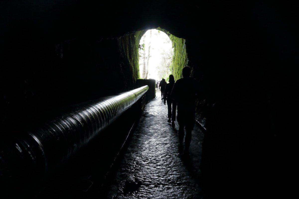 levadeiro's tweet photo. Levada .. basta seguir a luz.
___
#levada #madeira https://t.co/vxsKfW1Td7
