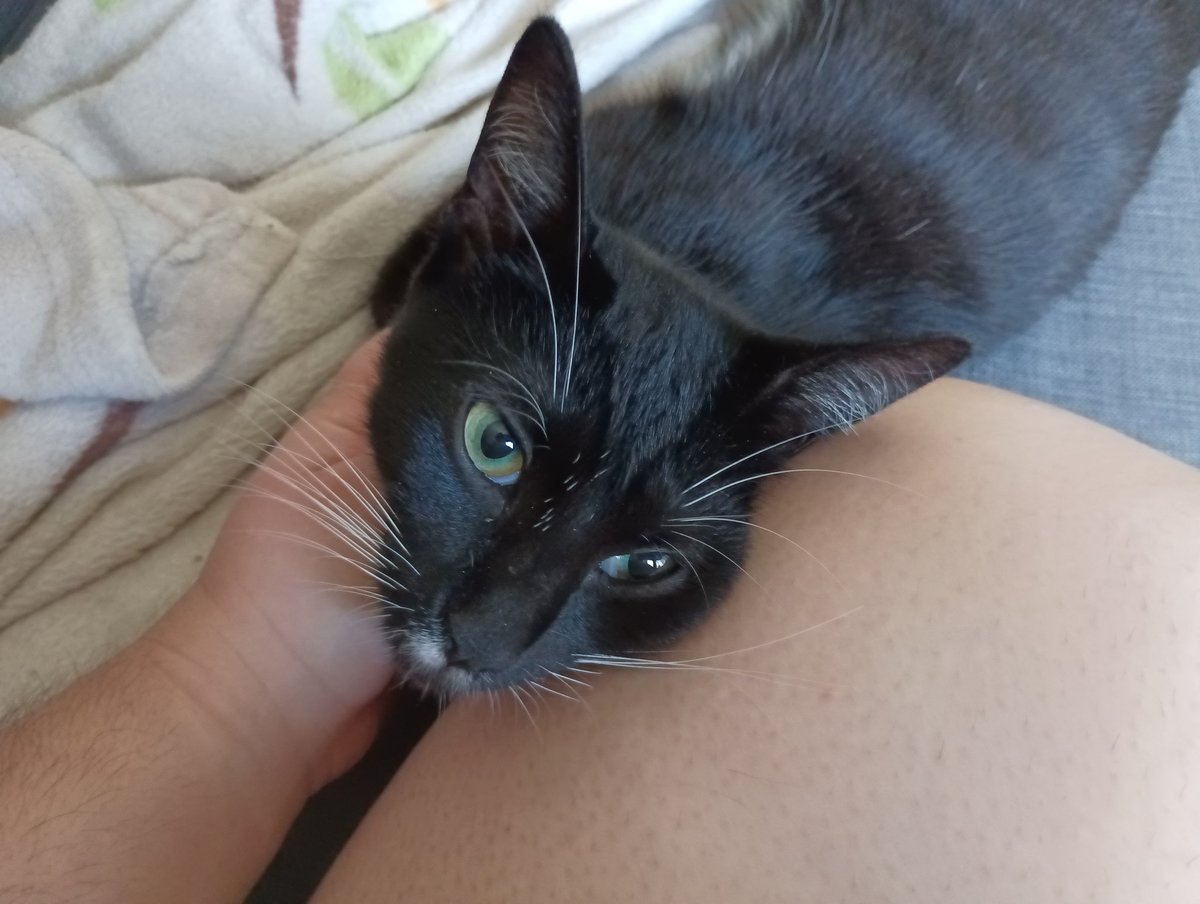 Frau Knopf (@FrauKnopf) / Posts / X, image size:1200x904