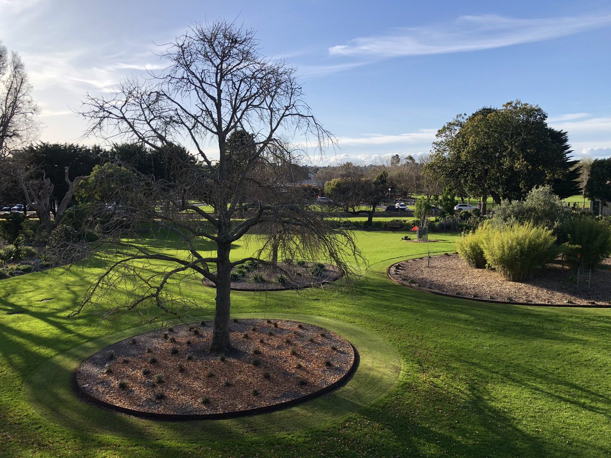 Bundogs's tweet photo. Second nice day in a row so out with the push mower to circle up around the main trees.
Love a point of difference 🤪 and I feel this gives our trees a bit of status especially when main lawn is longer 🤔 #warrnamboolbotanicgardens #rotundalawn #pointofdifference https://t.co/AaBV5FCSBn