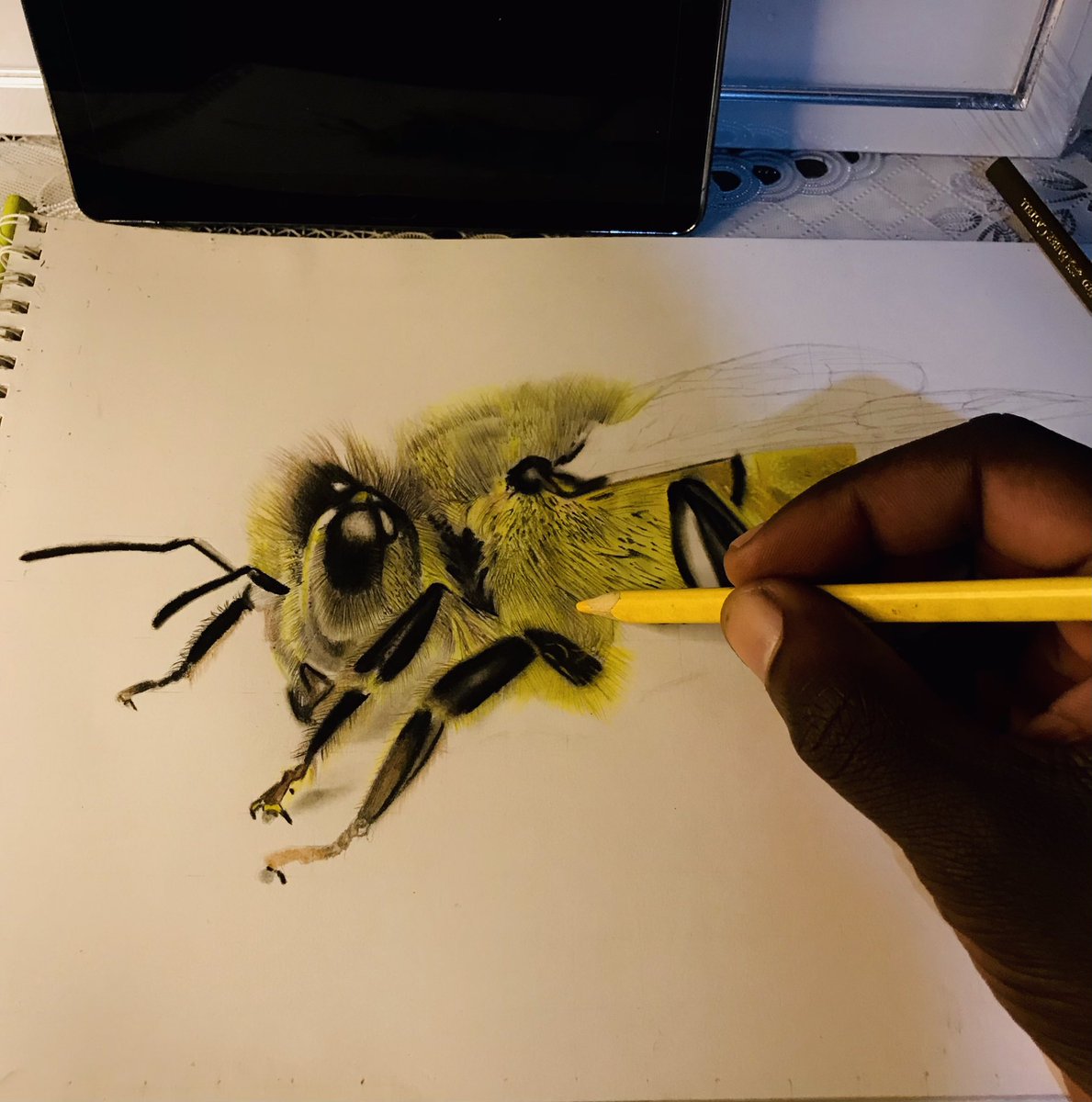InnocentCArt1's tweet photo. Creativity is the use of https://t.co/hLqbC2K1uG is when creativity is used to express an idea or an abstract such as emotion".
Currently working on a collection of wildlife and conservation photos and also artworks new work #art #3dartwork #drawing #tweet100 https://t.co/67XdGofHrB