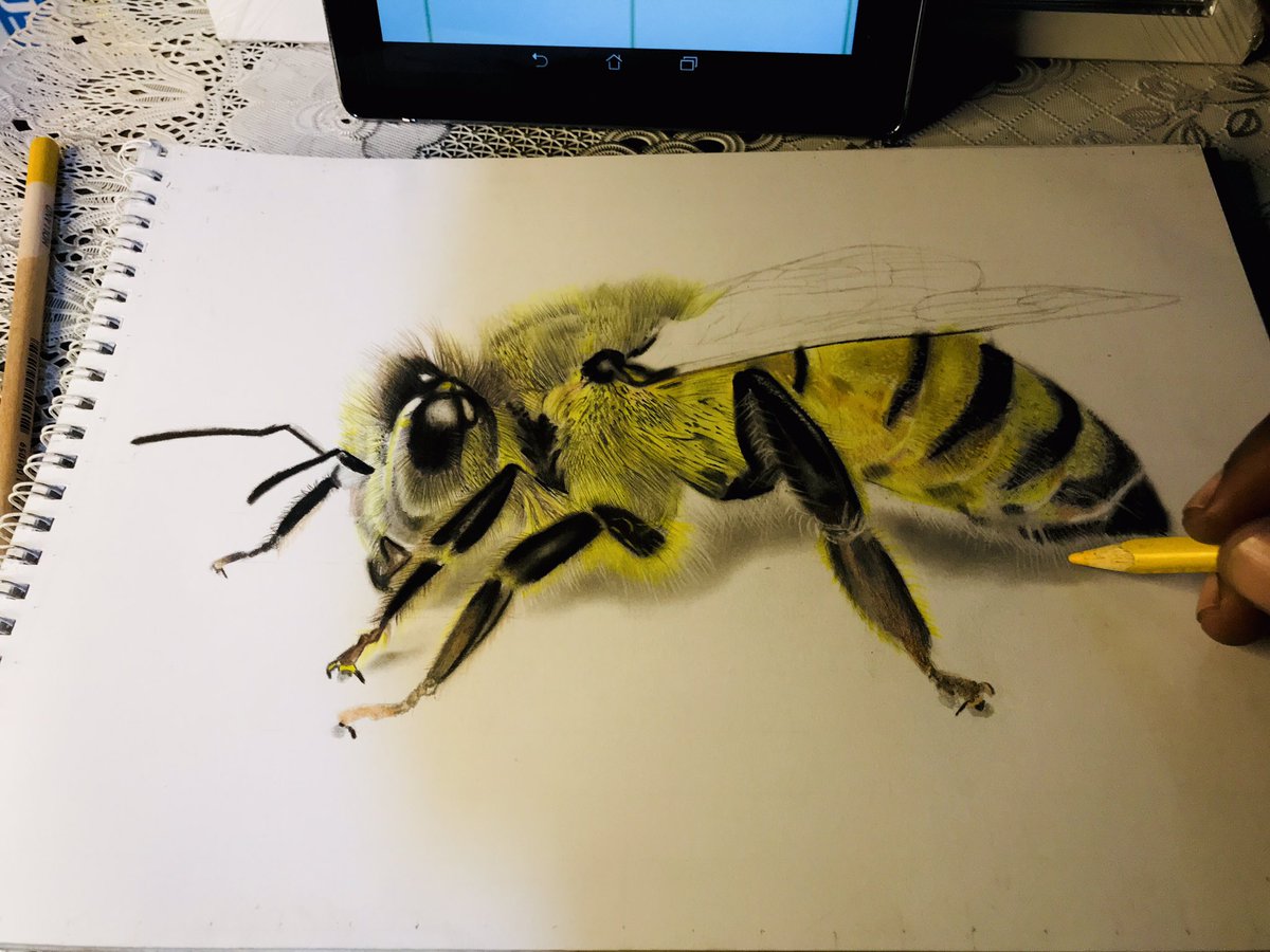 Creativity is the use of imagination.Art is when creativity is used to express an idea or an abstract such as emotion".
Currently working on a collection of wildlife and conservation photos and also artworks new work #art #3dartwork #drawing #tweet100