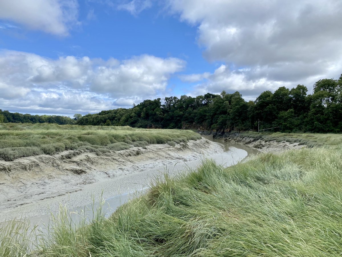 Dominiquepucini's tweet photo. La Vallée de l’Arguenon #Crehen #cotesdarmor #Bretagne hier matin 
https://t.co/wQJN0VvgNw https://t.co/hXk7hLbYe9