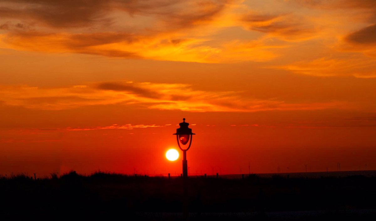 JanneHaapamaki's tweet photo. Have a good day! 🌅
#haveagoodday #haveanicewednesday #wednesday #wednesdaysunset #sunsets_oftheworld #sunsetpics #solnedgang🌅 #auringonlasku #sonnenuntergang #atardecer #zonsondergang #landscape_captures #sunsetcaptures #sunsetbyme #worldssunset #redsky #silhuette #sillhouette https://t.co/9wC7CIpUYY