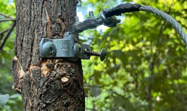 La_Prealpina's tweet photo. Cappio nel bosco, biker sotto shock https://t.co/Vv8O9Ylowz https://t.co/rXawewlVJW