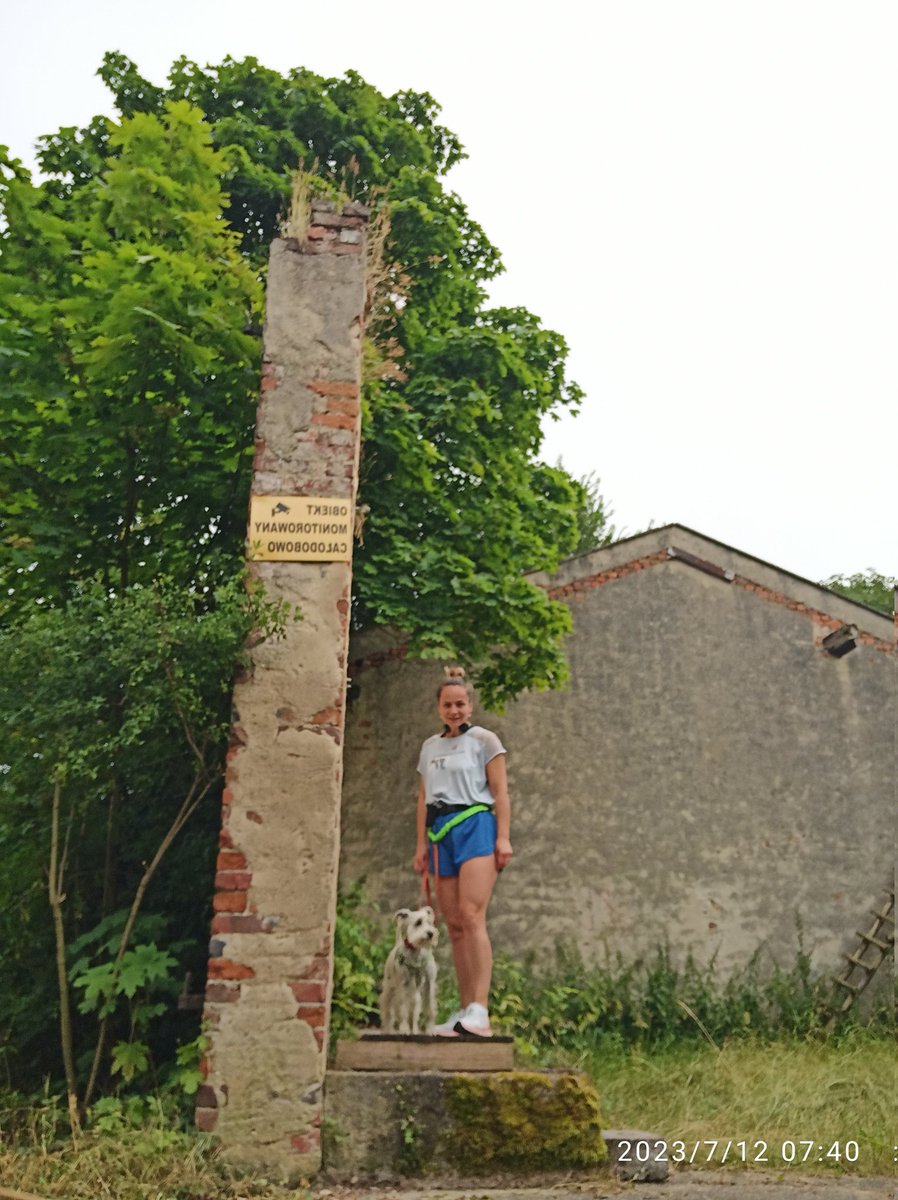 MartaPawowicz1's tweet photo. Dzień dobry Chcemisie i NieChcemisie ☕ 🏃 🐶
Miłej środy 💪 🍦 😂
#morning #running #morningrun #truchting #runningwithdog #strengh #health #immunity #selfcare #dog #happydog #aza #azasznaucerbiały #happyme https://t.co/xcSuRJykhE