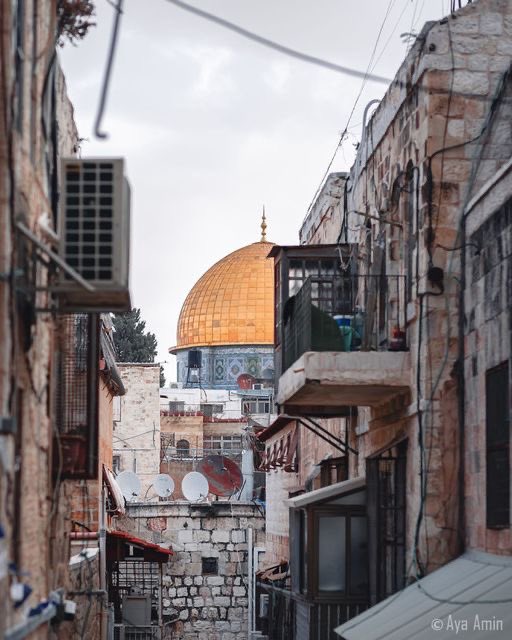 MuhammadSmiry's tweet photo. Good morning from Palestine https://t.co/LALs7mrnbr