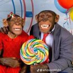 Photo by Paanic_ (@PaanicGG)