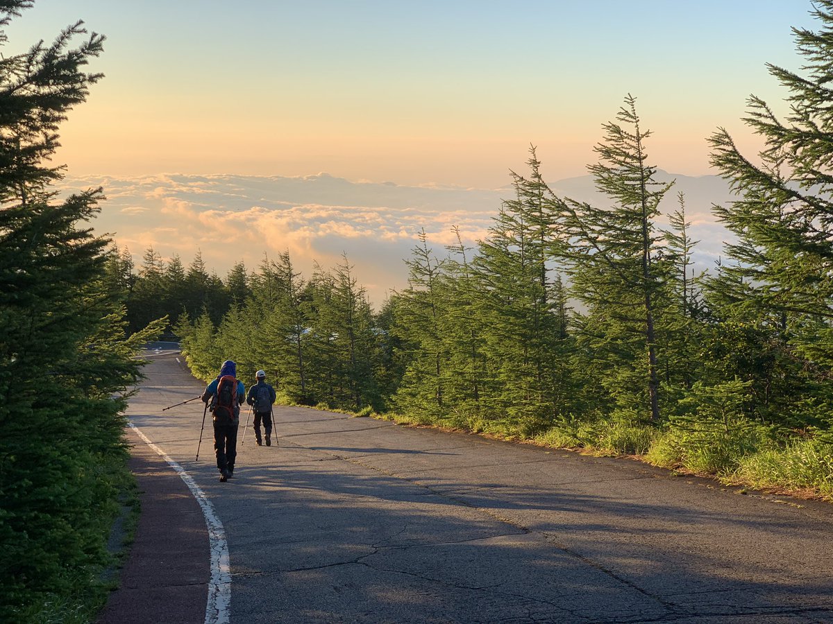 タクロス🍇ブロガーLv.6 tweet media