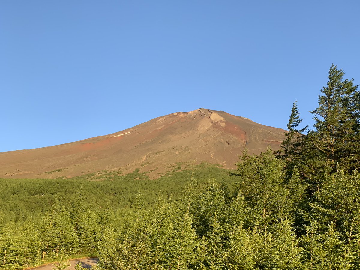 タクロス🍇ブロガーLv.6 tweet media