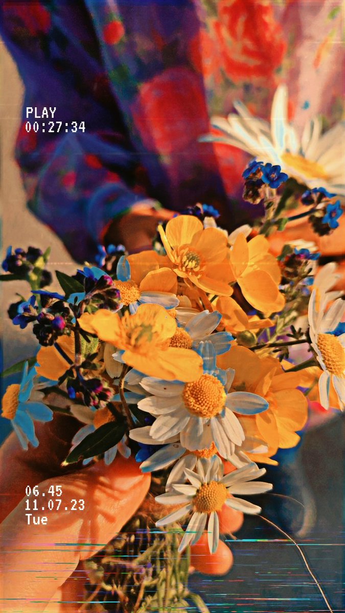 BhatKulsum99's tweet photo. 💜🦋💐 https://t.co/9YRWL2mxZf