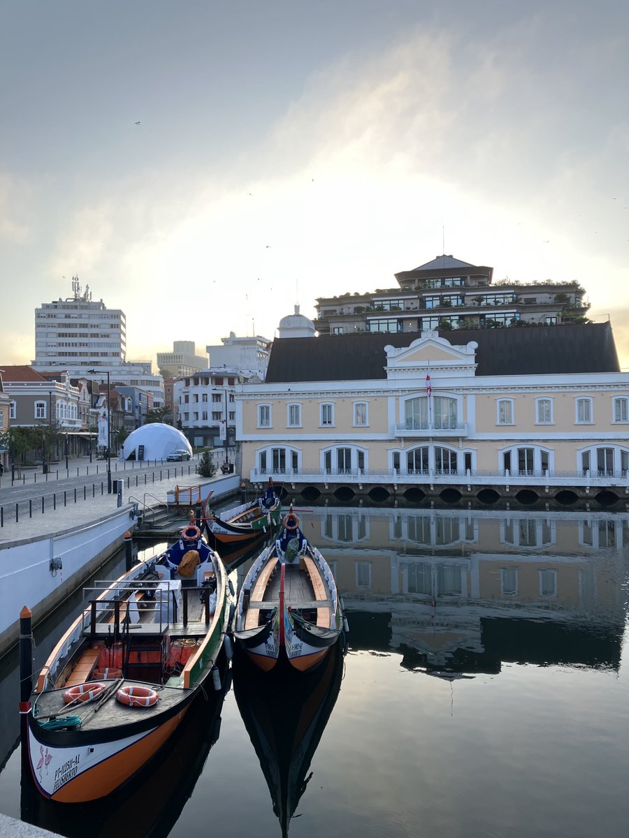 Hoje nasceu assim. A Rádio Observador regressa a Aveiro.