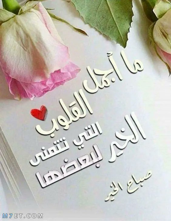 السلام عليكم ورحمت الله وبركاتوة
#الشعب_يرفض_التطبيع_الرياضي
#الاستديو58
#مرزوق_الغانم
#مرتضي_خدام_الاهلي_والخطيب