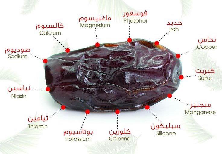 Eco Life Pharma tweet media