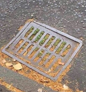 LeilaniDowding's tweet image. Let’s blame floods in UK on climate change. Not the fact they are concreting over fields that absorb water, chopping down trees that drink water, building homes and rds on flood planes. Plus all the blocked drains and culverts!!