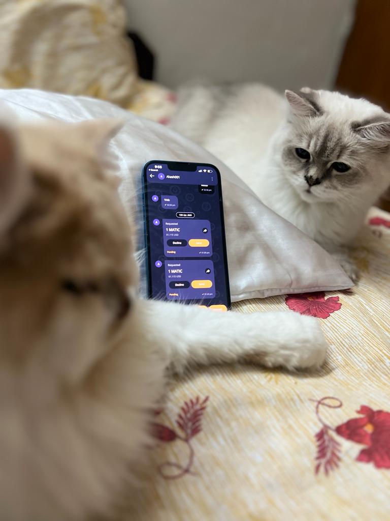 gm AnCrypto fam!🥰
