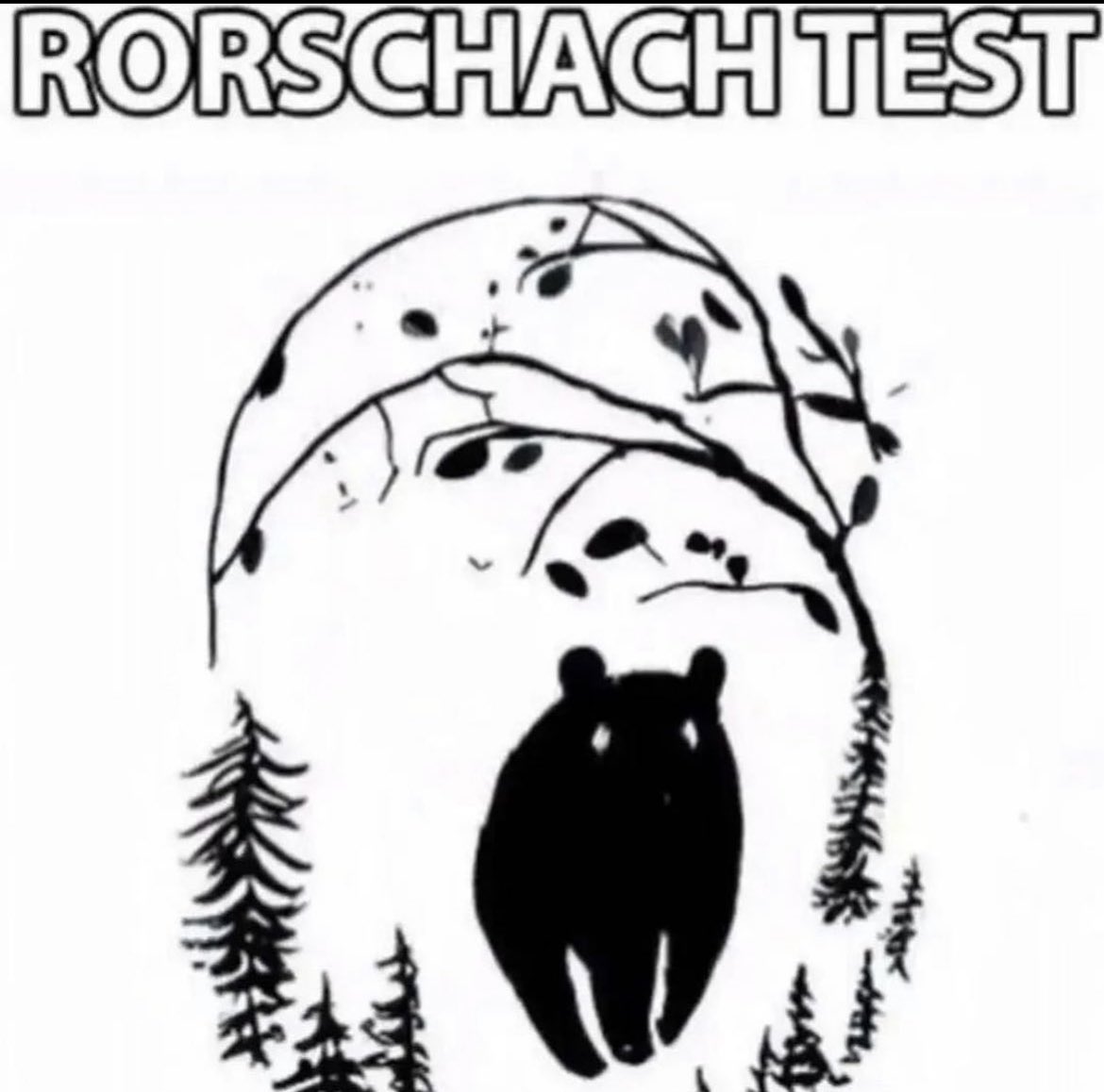 EverythingOOC's tweet image. 