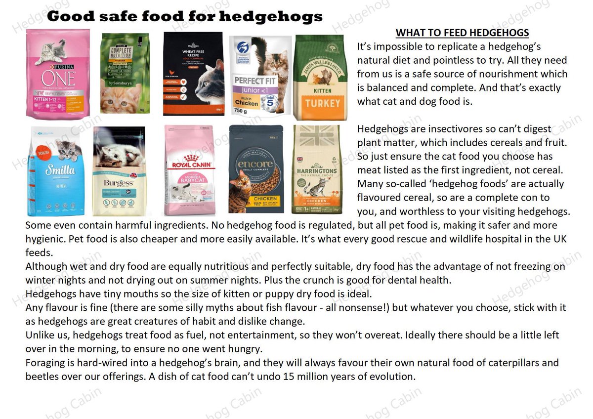 Heather Jones tweet media