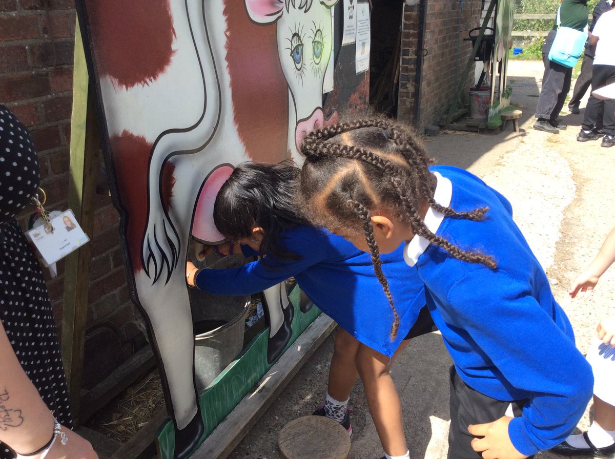 Sycamore Tree Class tweet media