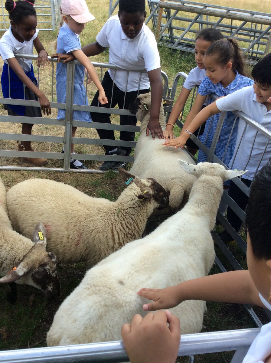 Sycamore Tree Class tweet media