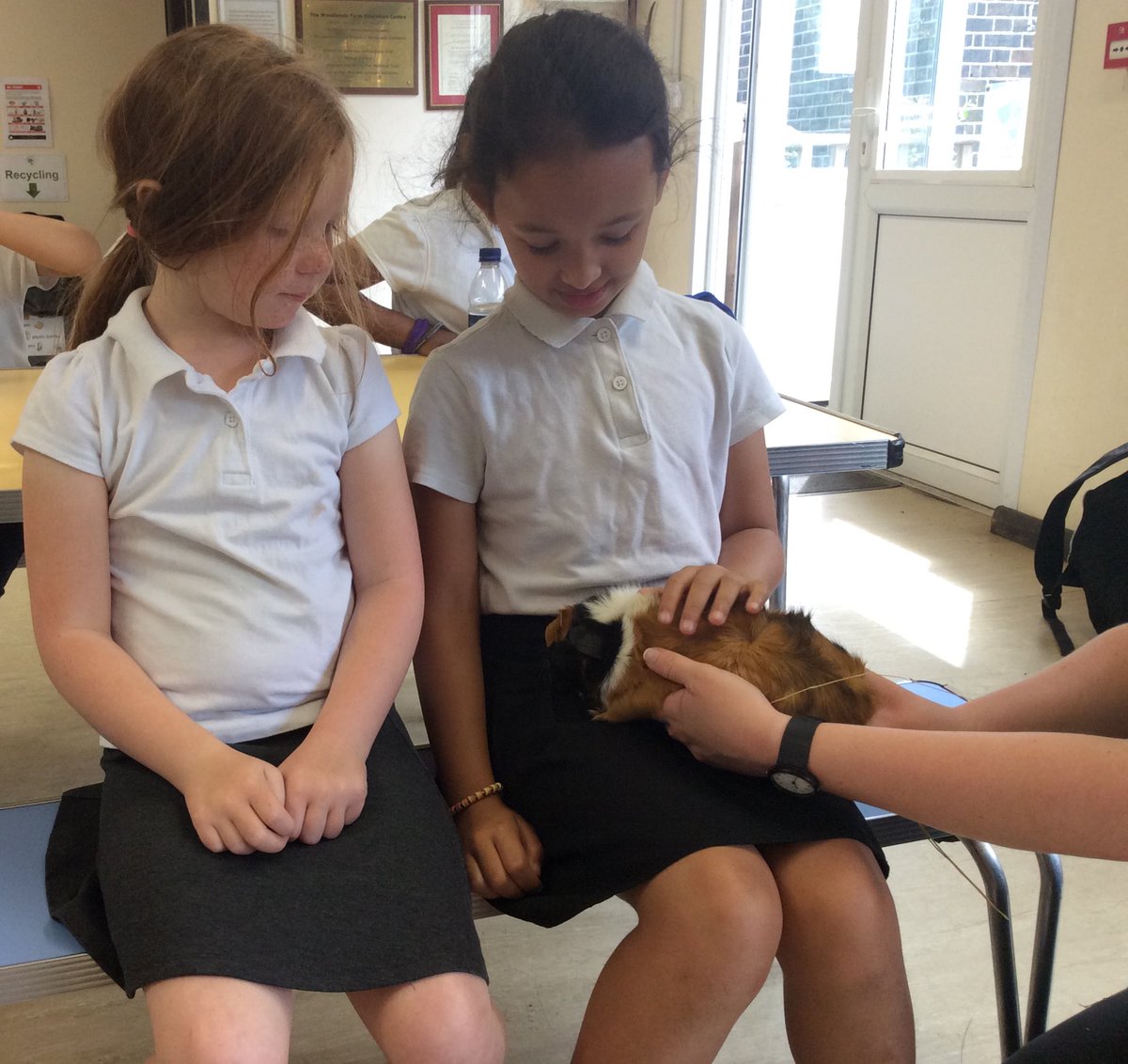 Sycamore Tree Class tweet media