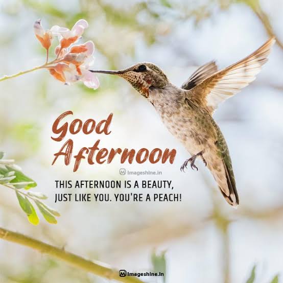 TradetTo_live3's tweet photo. Good afternoon everyone https://t.co/2JtWZtg9UK