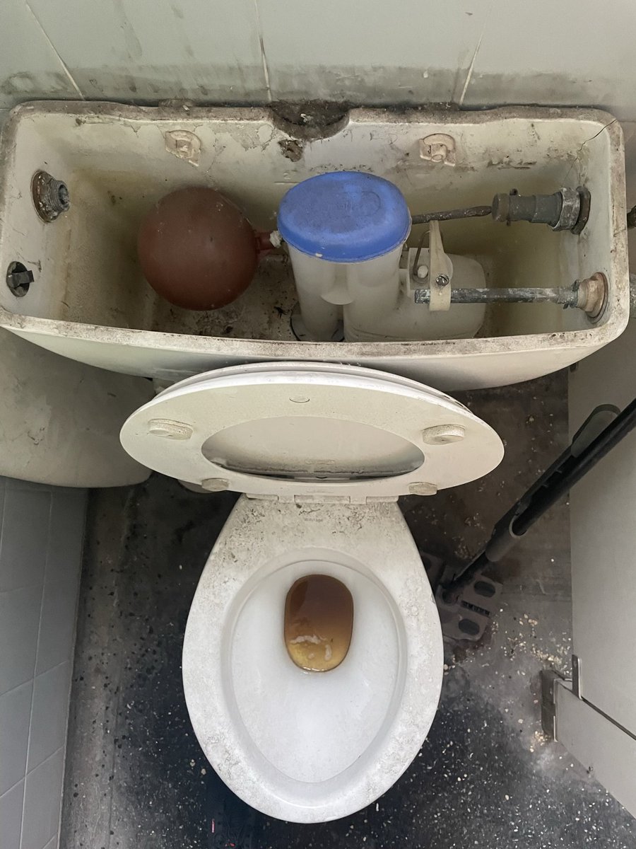 Longtooth & Wasterman tweet media