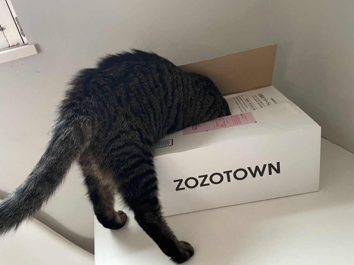 t_623652's tweet photo. #ZOZOWEEK箱CP https://t.co/GEDVXOdDk6