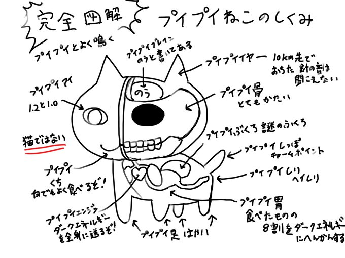 プイプイねこ図解 