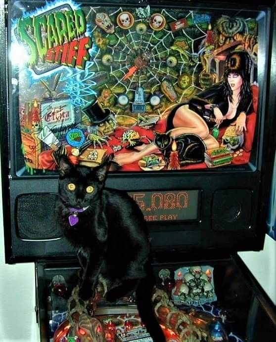 Stefan Michalski tweet media