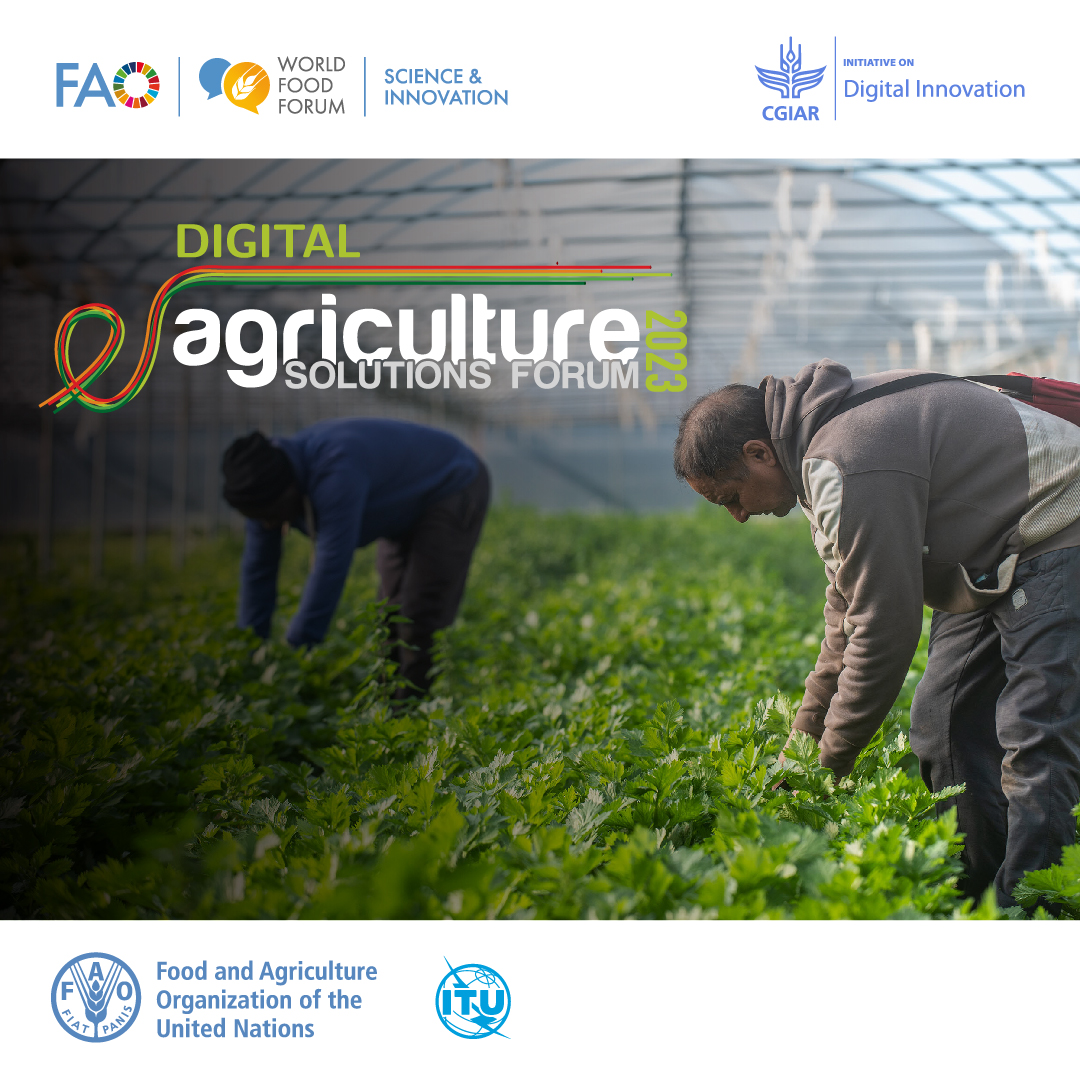 We must focus on #digital  financial services and agricultural insurance as they have the transformative potential to enhance the #financialinclusion and safety nets of smallholder farmers. 

#DASF2023 #SIF2023
