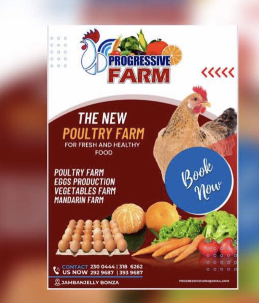 drksparkle's tweet photo. Someone is selling a crate of eggs for just D225 if you want just call him on these numbers + he does delivery too 
#PoultryEggs https://t.co/a86DGbLfLE