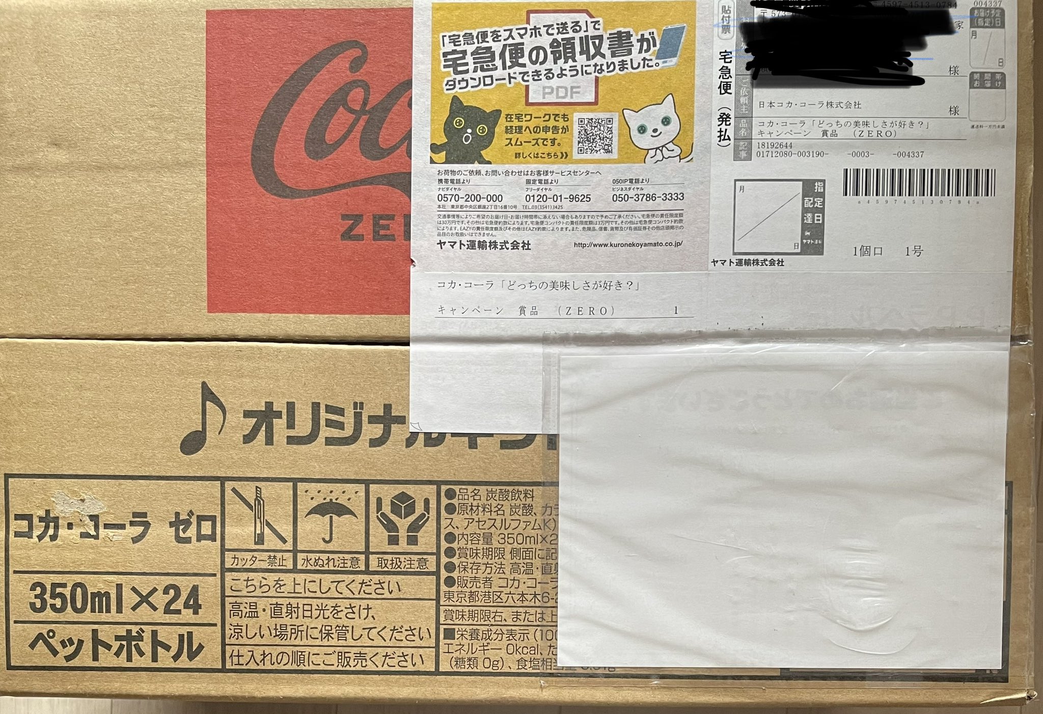 こかこーら(一時帰国中)ページ DSXZQO1570129008022022000000-1