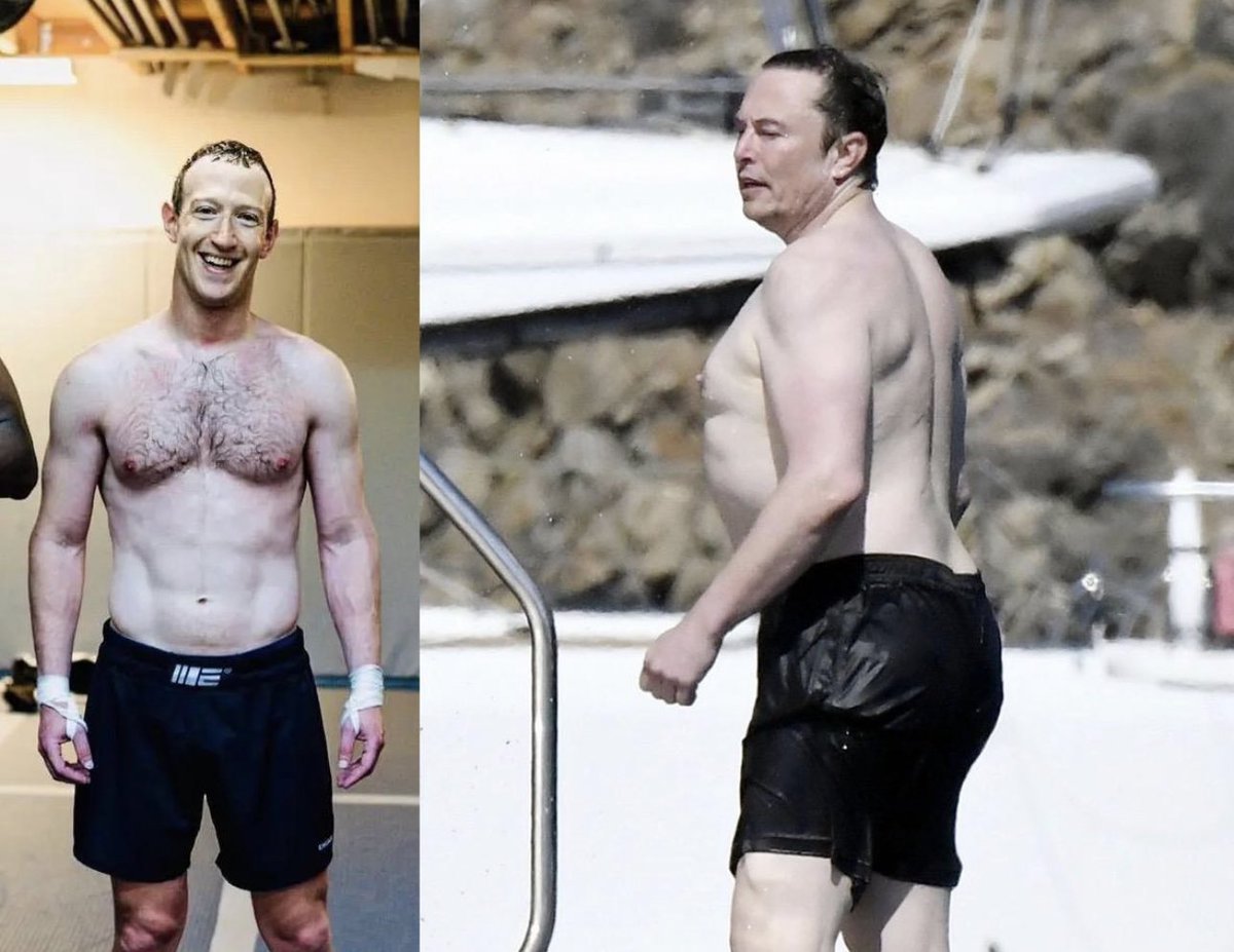 paperhandpapi🟣 tweet media