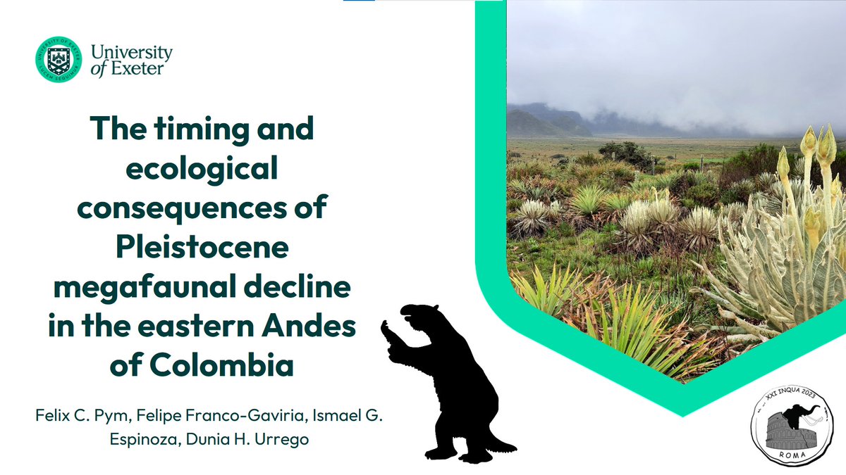 Felix Pym (@fcpym) on Twitter photo Very excited to be on my way to Rome for my first <a href="/INQUA/">INQUA</a> conference 🇮🇹
I will be talking about megafaunal extinction in the Colombian Andes 🇨🇴 on Fri 14th July, 17.15-17.30 in session 109: Animals, environments & humans (📍Aula Magna) #INQUARoma2023 <a href="/PastTeller/">Dunia H. Urrego</a> <a href="/UniofExeter/">University of Exeter</a> Very excited to be on my way to Rome for my first <a href="/INQUA/">INQUA</a> conference 🇮🇹
I will be talking about megafaunal extinction in the Colombian Andes 🇨🇴 on Fri 14th July, 17.15-17.30 in session 109: Animals, environments & humans (📍Aula Magna) #INQUARoma2023 <a href="/PastTeller/">Dunia H. Urrego</a> <a href="/UniofExeter/">University of Exeter</a>