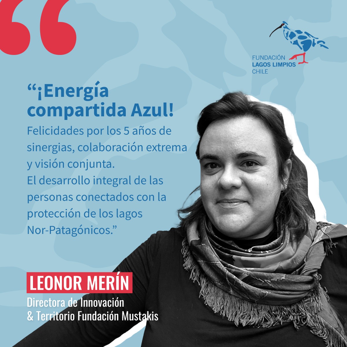 Chile Lagos Limpios tweet media