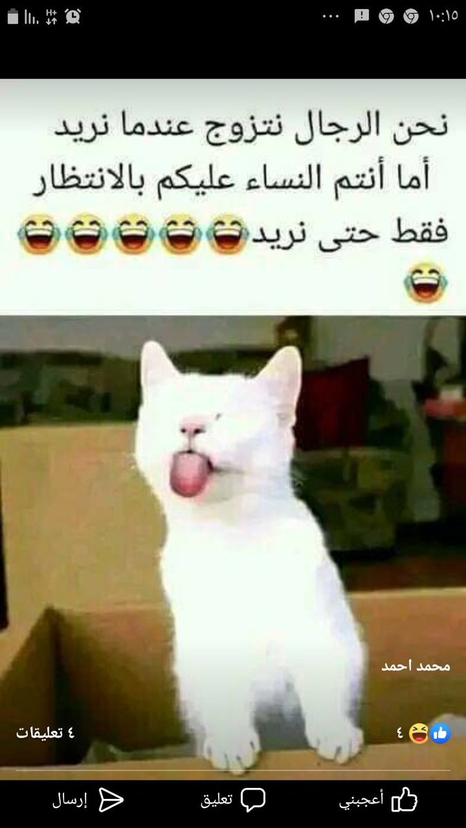 وداد العراقي عراقي (@basbas14227517) on Twitter photo 