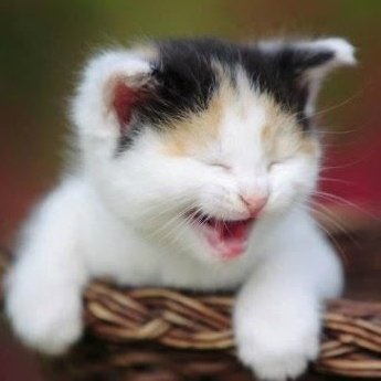 😆
#G22ALFEA <a href="/zuluetAlfea/">G22 Alfea</a>