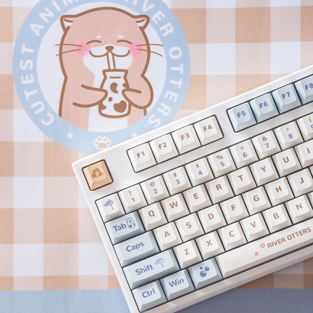 Kiemii2's tweet photo. So cute ♡ keycap🌿คีย์แคป YUNZII Otter~🦦  แบรนด์ที่ทำคีย์แคปออกมาได้น่ารักที่สุด ไม่ว่าเซ็ตไหนคือพรีเมียมมากเทอ แค่กล่องคีย์แคปก็กินใจละบอกเลยย คุ้มค่าคุ้มราคางานเนียนวัสดุทนทานสีคือดือย์มาก เก็บทุกรายละเอียดคมชัดทุกจุด ของมันต้องมีเก็บกล่องใส่ตู้ไว้เป็นคอลเลคชั่น 
#keyboard https://t.co/HW4hqEuD0J