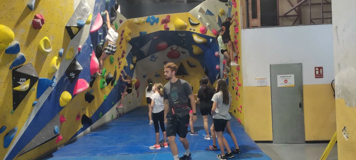 Club Esportiu INEF Barcelona / 💚 #corverd tweet media