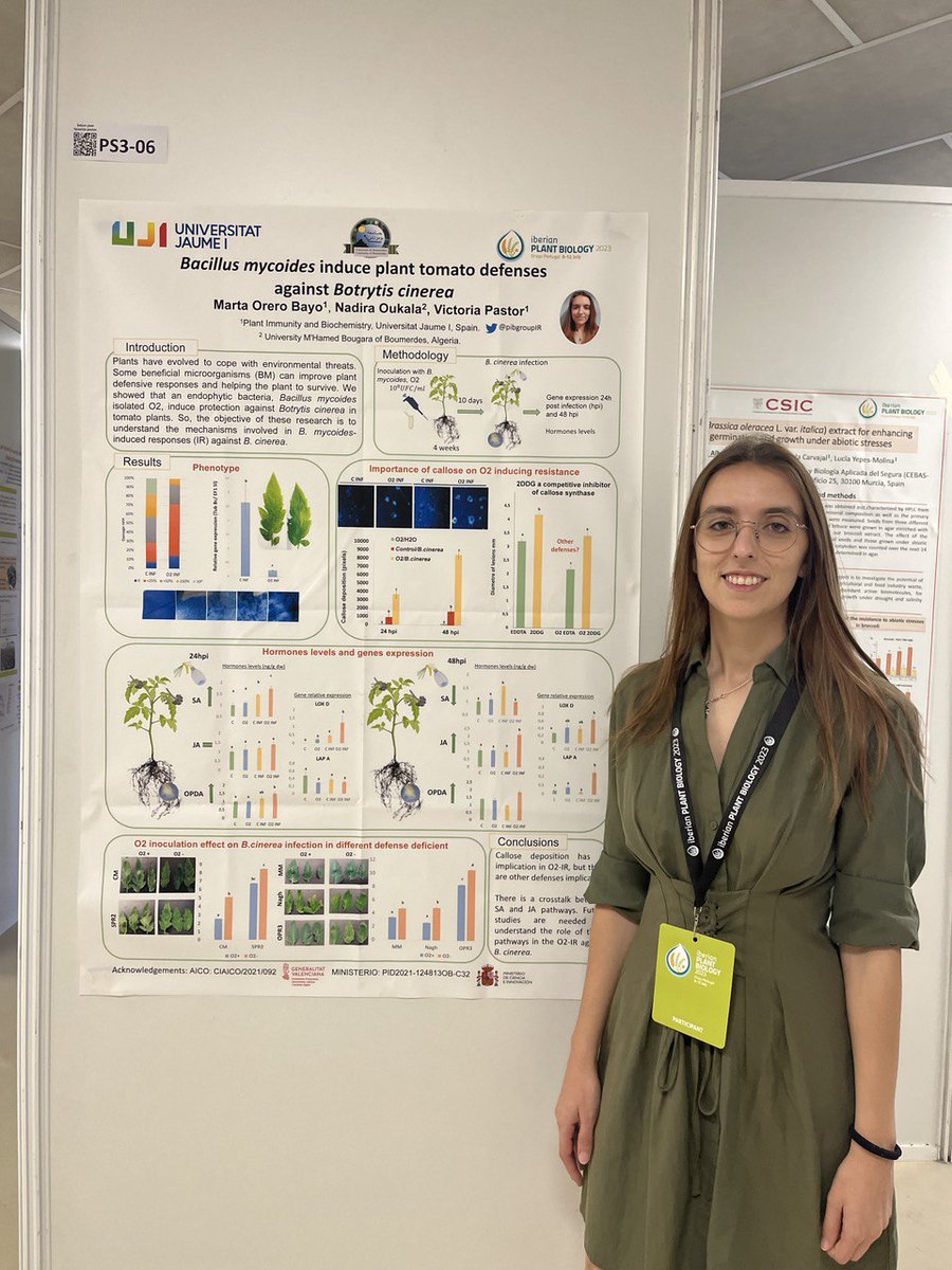 Plant Immunity and Biochemistry (@pibgroupir) on Twitter photo Our PhD Marta <a href="/OreroBayo/">Marta Orero</a> shows her poster at <a href="/IberianPB2023/">Iberian Plant Biology</a> in #Braga π΅πΉ
"Bacillus mycoides induce plant tomato defense against Botrytis cinerea"π
π¦ πΏ
#plantscience #PlantBiology #Congress #PlantCongress #PlantBiology2023 #IPB2023 Our PhD Marta <a href="/OreroBayo/">Marta Orero</a> shows her poster at <a href="/IberianPB2023/">Iberian Plant Biology</a> in #Braga π΅πΉ
"Bacillus mycoides induce plant tomato defense against Botrytis cinerea"π
π¦ πΏ
#plantscience #PlantBiology #Congress #PlantCongress #PlantBiology2023 #IPB2023