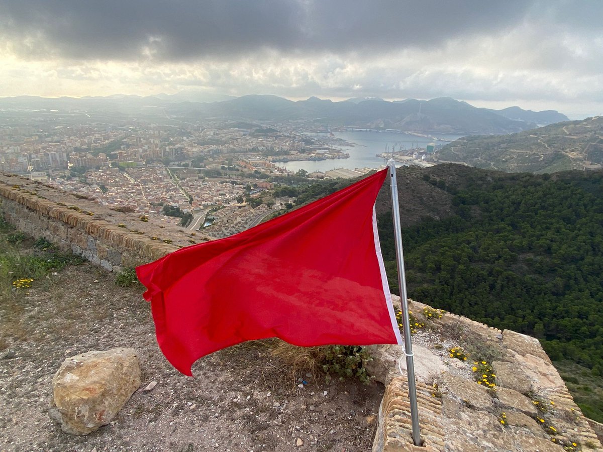 Cartaginense51 tweet media