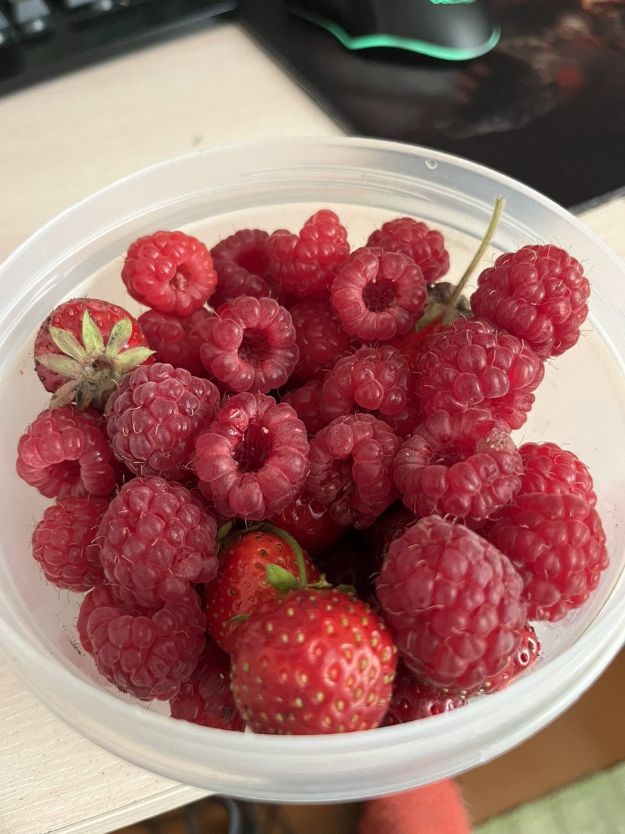 Дёма Наталья tweet media